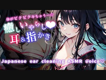 【耳指かきASMRシチュボ】お嬢様部長はドS？！茶道部の先輩に骨抜きにされちゃう♡/指かき/吐息/癒し/ささやき/earcleaning/healing/relax/耳語/耳朵清洁/속삭임/귀걸이