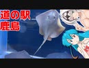 雨晴はうのドライブ　道の駅鹿島