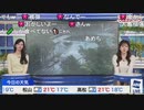 【小林李衣奈】りーのんクロス のんちゃん復帰【大島璃音】