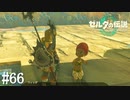 【ゼルダの伝説 Tears of the Kingdom】ゲルドの忘れ物【実況】#66