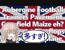 お前はまだまだまだまだ英語を知らない（イギリス英語4）-チェビグローサ #27