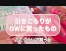 【引きこもり】GW購入品【人の金】