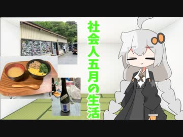 5月の生活