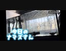 赤ちゃんなまず飼育日記 353日目