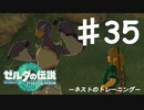 【初見実況】 第三五話　ネストのトレーニング　【 ゼルダの伝説 ティアーズオブザキングダム 】