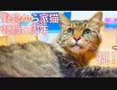 元・野良たぬき猫、幸せ家猫転職８周年