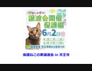 保護ねこの家譲渡会