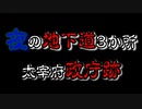 【not心霊スポット】夜中に地下道と史跡を歩く動画【ちょっとホラー】
