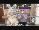 【イノシシ】負けた。2024年5月28日