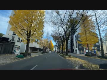 仙台中心部の銀杏並木等を見に行くドライブ6　錦町、花京院、小田原付近　2023　1203　マツダ２車載