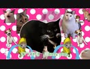 猫ミームが吹っ切れた【おちゃめ機能】