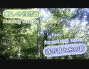 【癒しの自然音】森の音と水の音 【作業用BGM、睡眠導入、リラックス】