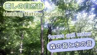 【癒しの自然音】森の音と水の音 【作業用BGM、睡眠導入、リラックス】