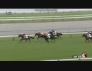 2024年6月2日　京都5R　2歳新馬　キトンインザスカイ
