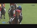 2024年6月2日　東京6R　2歳新馬　スターウェーブ