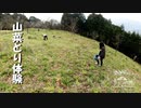 【第269回】山菜とり体験②と細目と藤の花