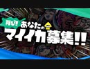 再び！マイイカ募集！【#ちょいイカ】