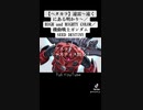 【ガンおじ頑張ってみた】遠雷〜遠くにある明かり〜／HIGH and MIGHTY COLOR／機動戦士ガンダムSEED DESTINY