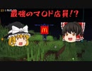 【Minecraft】Modが大量に入った世界でサバイバル生活　part3【ゆっくり実況】