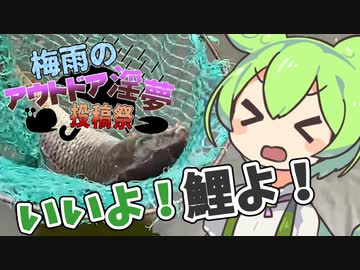 釣りだ釣りだ釣りだ！いいよ！鯉よ！