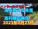 ハンターカブで行く！海の見える鳥居　酒列磯前神社　2024年3月31日