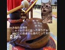 元男性かまみのまた病気がはじまった～オカルトレディ（OL）の世にも奇妙なかまみの今欲しいもの？ #shorts #short #猫ミーム #lgbt #funny