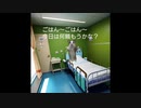 【人気ショート動画シリーズ「猫ミーム性別適合手術」総集編】元男性かまみ１ヶ月間お送りしたショート動画を総集編として一気見にしたよ