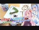 【琴葉姉妹誕生祭2024遅刻組】これまでとこれからと『抹茶のタルトと特別な誕生日プレゼント』【VOICEROID劇場】【VOICEROIDグルメ】
