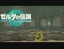 地上絵 in 地中『ゼルダの伝説 ティアーズ オブ ザ キングダム』#16