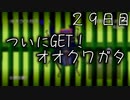 ついにGET！オオクワガタ ２９日目 【ぼくなつ】