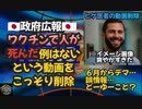 気になったニュース【隠蔽なのか？それとも？】政府広報『ワクチンで人が死んだ例はない』という動画をこっそりと削除 新型インフルエンザ等対策特別措置法でデマ・誤情報を自ら検閲？