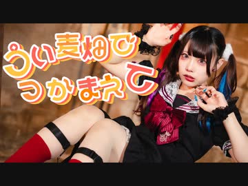 【うい麦畑でつかまえて/しぐれうい】 踊ってみた 【オリジナル振付】【わに】