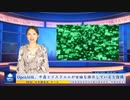 OpenAI社、中露とイスラエルが世論を操作していると指摘