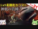 【ELDEN RING】Lv1未強化の旅 Part31 カンスト神肌の貴種 解説付き