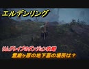 エルデンリング　霊廟ヶ原の地下墓の場所は？リムグレイブのダンジョン攻略　【ELDEN RING】