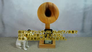 欅スリムスマホラッパ