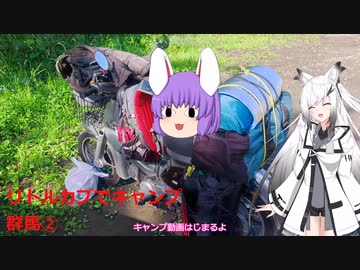 【ゆっくり車載動画】烏川河川敷総合レクリエーション基地公園（群馬県）キャンプ②