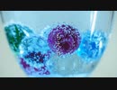 【小春六花AI】もえも。 moemo. (feat.Koharu Rikka)【Synthesizer V オリジナル曲】