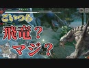【モンハンライズ】初心者狩猟日記part12-ナルガクルガ・ベリオロス【ゆっくり実況】