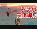 ゾナウ禁止縛りpart31【ティアキン/制限プレイ/ゼルダの伝説ティアーズオブザキングダム】