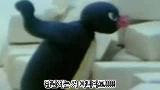 ピングー ダダンイヤーレープボトル味ダビング版