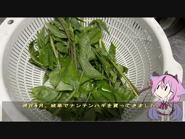 珍食材が食べたい！#188 ナンテンハギのあぶらえみそ和え