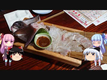 琴葉姉妹と行く釣行記録（暇潰し編part33）