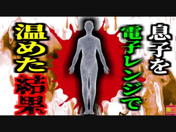 【2017年】テレビCMの真似？「子供乾かすの面倒だな…そうだ」→わが子を電子レンジで乾かそうとしたカップル逮捕 保釈金は500,000ドル（約5700万円）【ゆっくり解説】