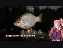 茜お姉ちゃんが川釣りのバイトをする話　2024：5月号