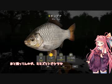 茜お姉ちゃんが川釣りのバイトをする話　2024：5月号