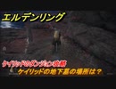 エルデンリング　ケイリッドの地下墓の場所は？ケイリッドのダンジョン攻略　【ELDEN RING】