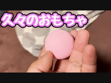 久々に おもちゃ買いました