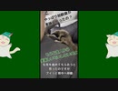 【 #フクロモモンガ 】ご主人が美味しくない？！【 #おはモモンガ 】