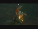 ゼルダの伝説　ティアーズ オブ ザ キングダム　実況プレイPart29